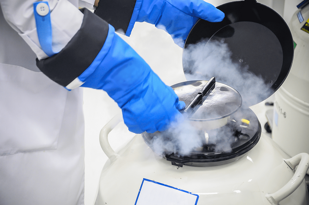 Долгое хранение искусственных органов стало возможным: важное открытие российских ученых