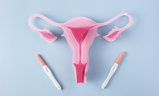 Снижение овариального резерва: индивидуальная репродуктивная стратегия и методы сохранения фертильности