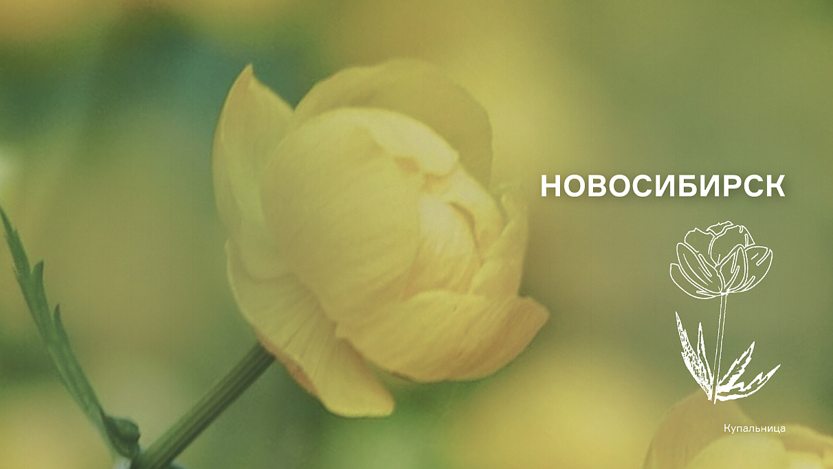 Актуальные вопросы, г. Новосибирск