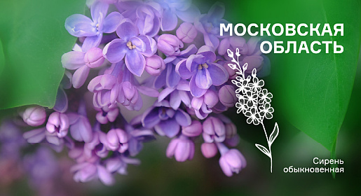 Здоровье женщины: от менархе до менопаузы, Московская область