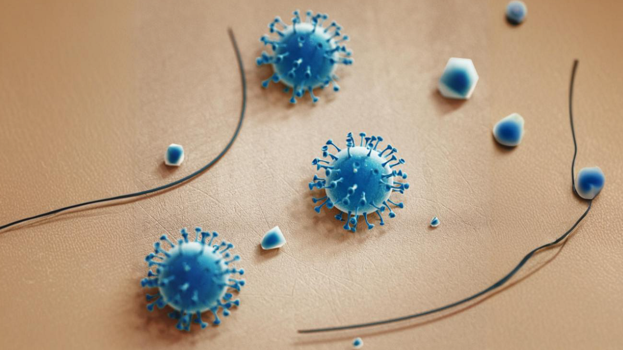 Аногенитальные бородавки: комплексный подход к решению проблемы в реальной клинической практике
