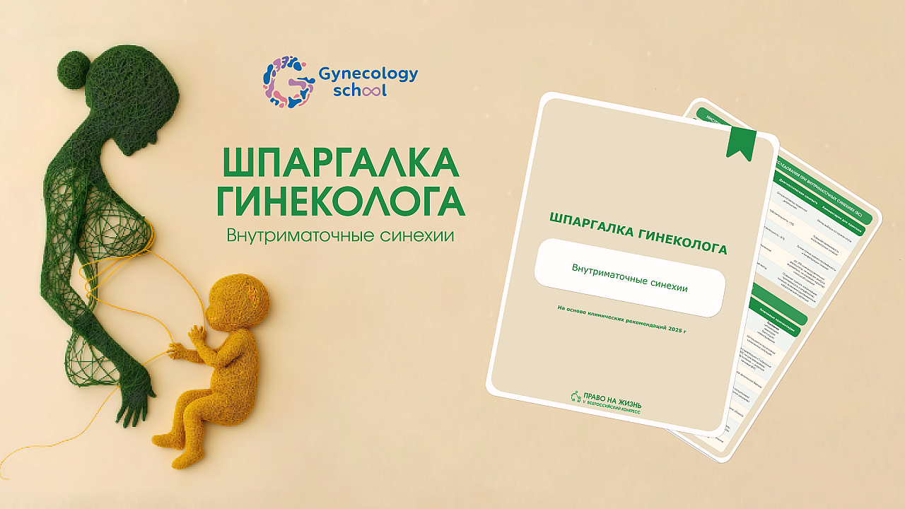 Внутриматочные синехии: шпаргалка для врача 