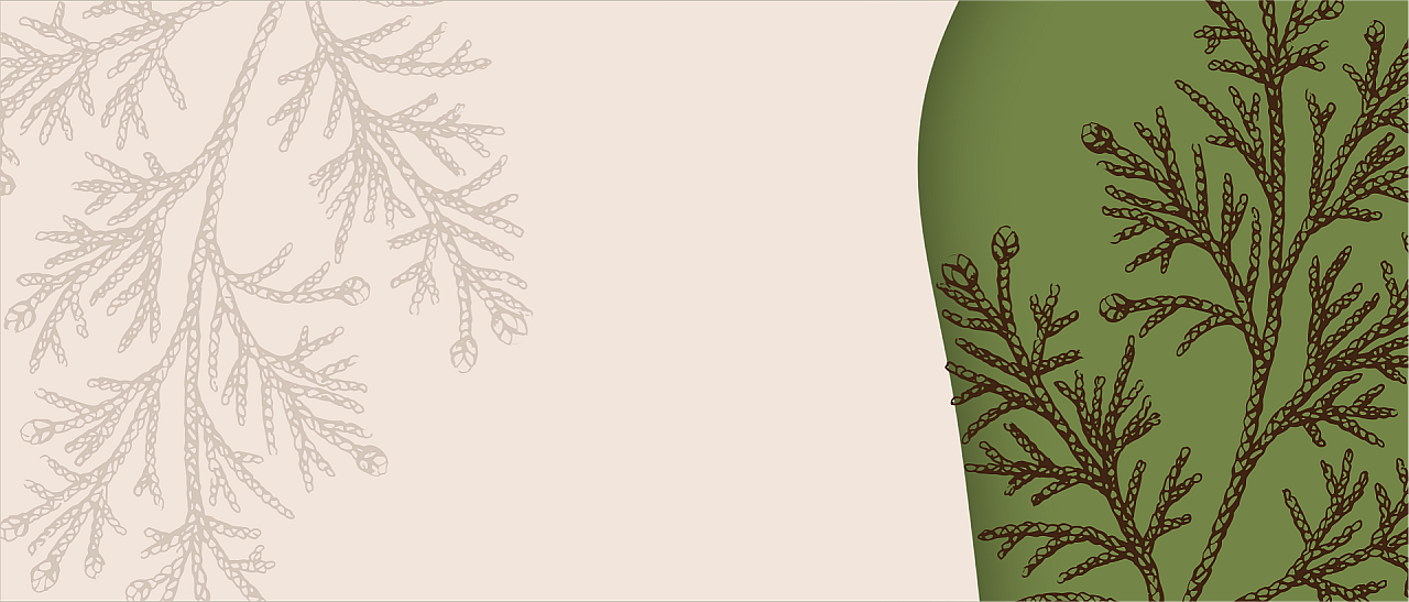 Рецепты сохранения женского здоровья, г. Томск