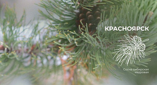 Здоровье женщины в фокусе внимания, г. Красноярск