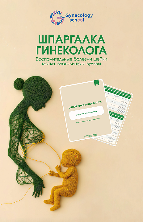 Внутриматочные синехии: шпаргалка для врача 