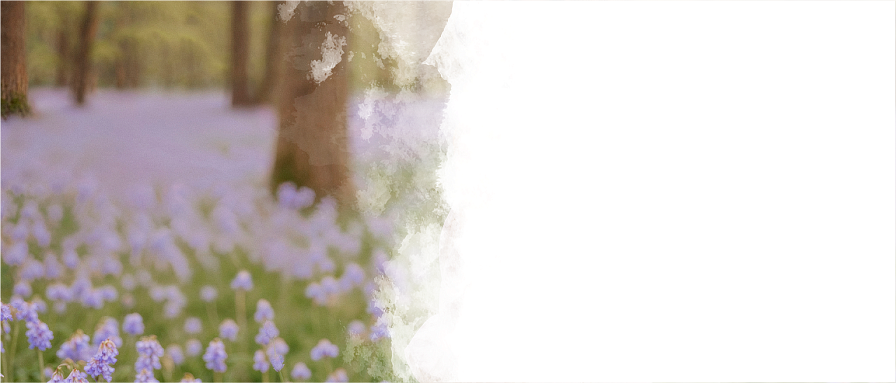 Женское здоровье, г. Краснодар